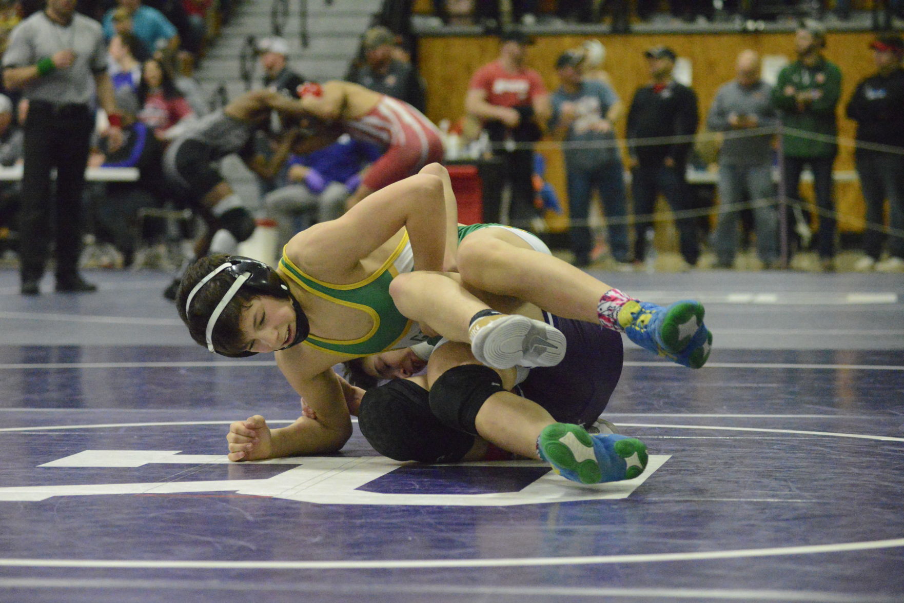 ill 2a sect wr 021520 592.JPG